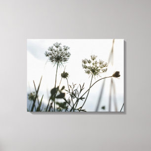Toile Umbels Flowers Outline - Photographie d'Art Floral