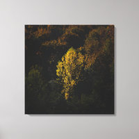 Un arbre jaune qui se détache de la foule