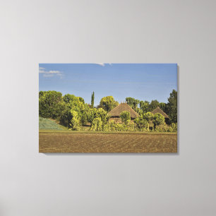 Toile Un champ cultivé devant des maisons à toit de chau