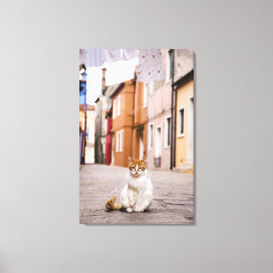 Toile Un chat dans les rues de Burano, Italie. 2006.