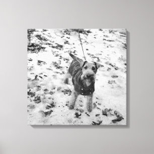 Toile Un chien utilisant une veste