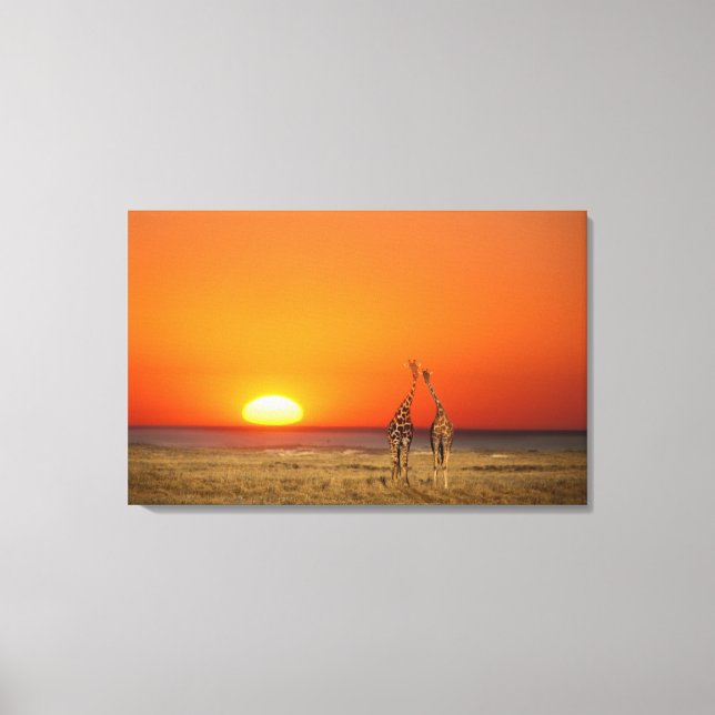 Toile Un couple de Giraffe entre au coucher du soleil, à (Recto)