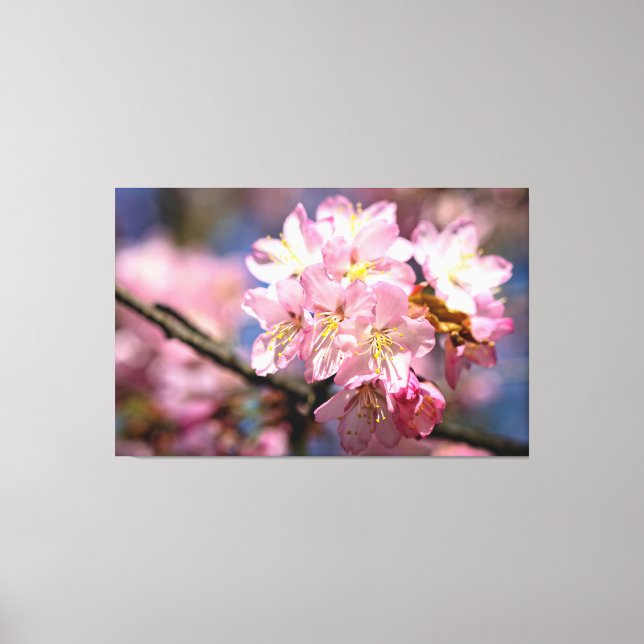 Toile Un Festival des fleurs de Sakura roses au printemp (Recto)