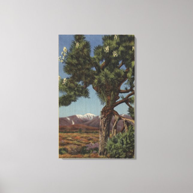 Toile Un joshua palmier en fleurs dans le désert califor (Recto)