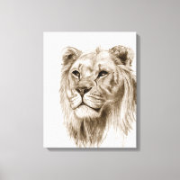 Un Lion - Sans Fierté, Dessin, Dessin