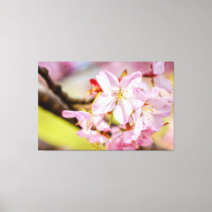 Toile Un merveilleux bouquet de fleurs de cerisier roses