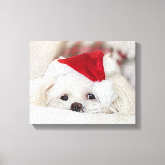 Toile Un mignon chien blanc dans un Casquette de Noël ro (Recto)