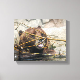 Toile Un mignon ours grizzli jouant dans l'eau