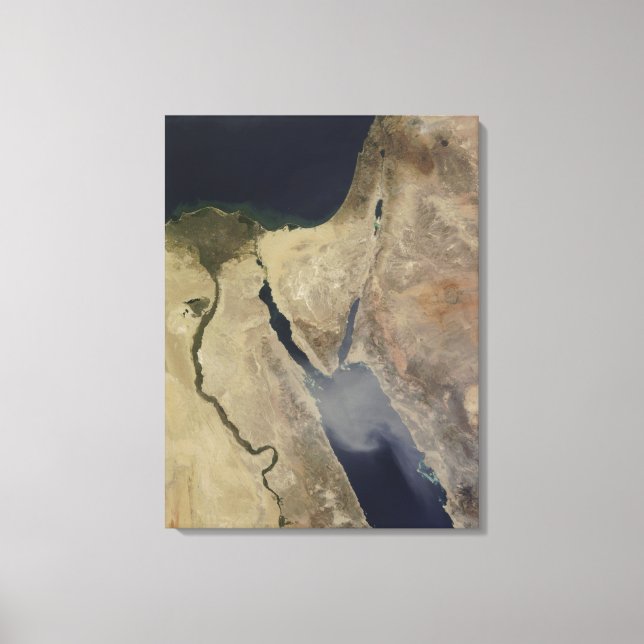 Toile Un nuage de poussière bronzée d'Arabie Saoudite (Recto)