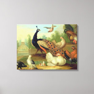 Toile Un paon, des colombes, des poulets et une fosse da