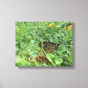 Toile Un papillon monarque
