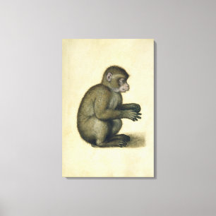 Toile Un singe