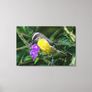 Toile Un Sucrier à Glace Savoure le Nectar de Fleurs Vio