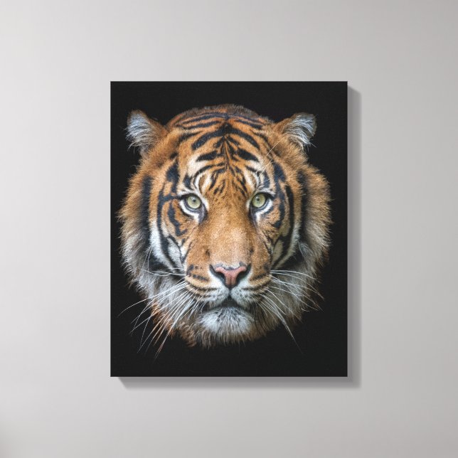Toile Un visage sauvage de tigre du Bengale (Recto)