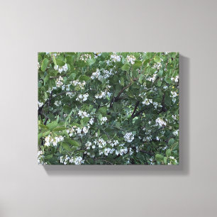 Toile Une Californie florissante : Manzanita Dr Hurd