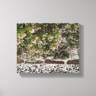 Toile Une Californie florissante : Manzanita neige