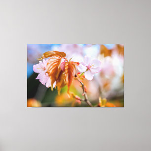 Toile Une charmante fleur de sakura sur une brindille au