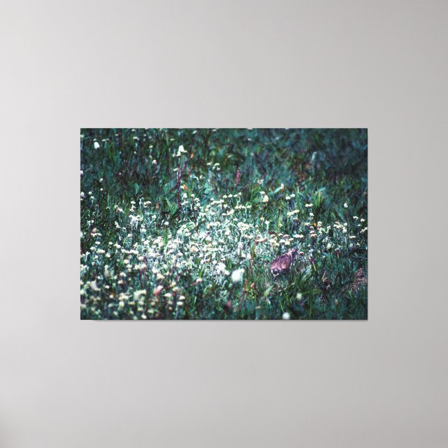 Toile Une écusson dans un pré (Recto)