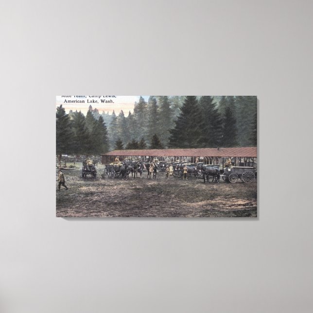 Toile Une équipe de Mule au Camp Lewis (Recto)