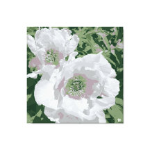 Une grande pivoine blanche sur toile.