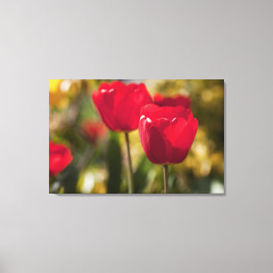 Toile Une paire de tulipes rouges lumineuses a capturé