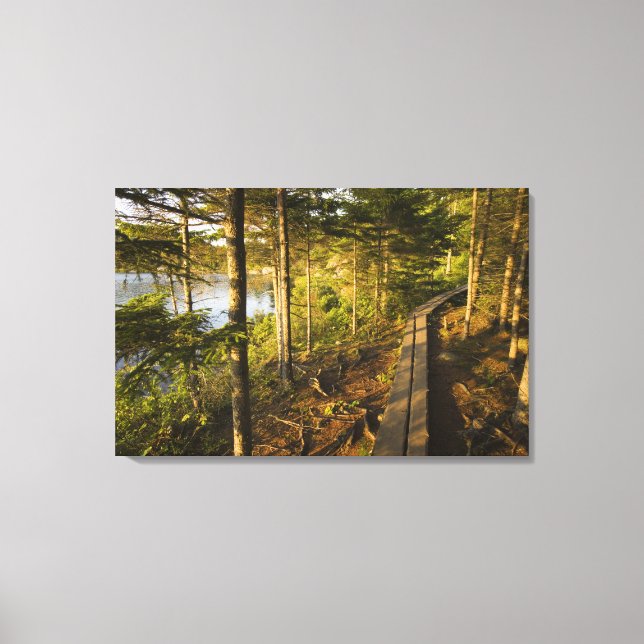 Toile Une promenade en bois dans le parc national Acadia (Recto)