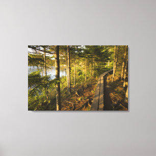Toile Une promenade en bois dans le parc national Acadia