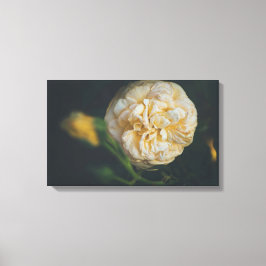 Toile Une rose jaune