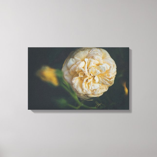 Toile Une rose jaune (Recto)