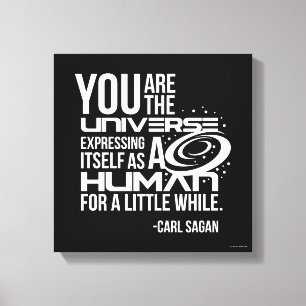 Toile Univers humain