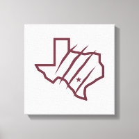 Université Texas A&M de San Antonio | Logo d'état