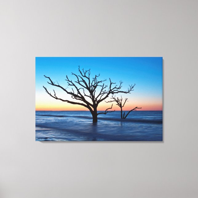 Toile USA, Caroline du Sud, Edisto Island, Botany Bay (Recto)