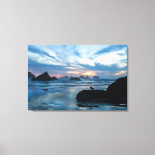 Toile USA, Oregon, Bandon Beach. Mouette sur pierre