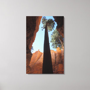Toile USA, Utah, Bryce Canyon National Park. Grand