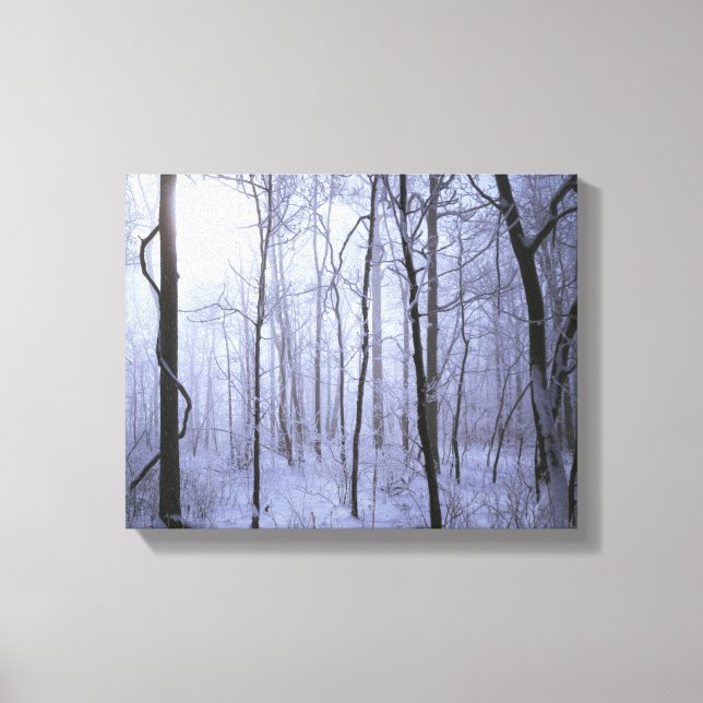 Toile USA, Virginie, Richard Thompson Wildlife Area. (Recto)