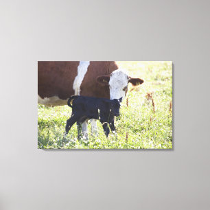Toile Vache et veau