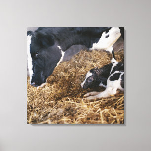 Toile Vache et veau en foin