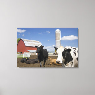 Toile Vaches devant une grange rouge et un silo dans une