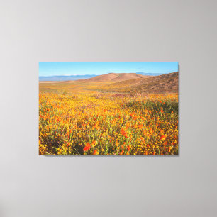 Toile Vallée d'Antelope