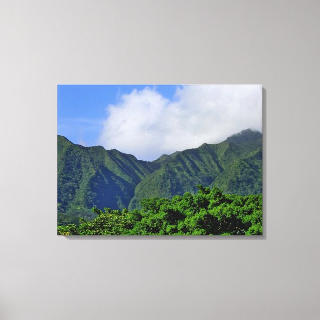 Toile Vallée de Manoa (Recto)