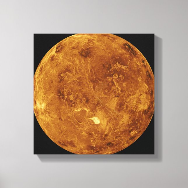 Toile Vénus 2 (Recto)