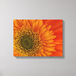 Toile Vibrant Orange Gerbera Daisy StretchedCanvas Impri