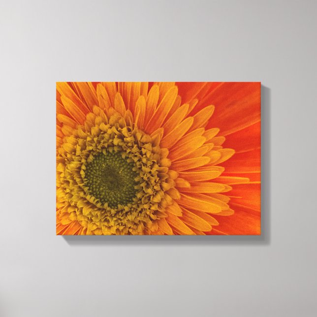 Toile Vibrant Orange Gerbera Daisy StretchedCanvas Impri (Recto)
