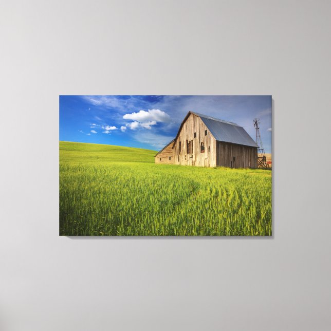 Toile Vieille grange dans un champ de blé de printemps (Recto)