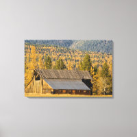 Vieille grange en bois avec tamaracks d'automne pr