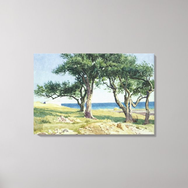 Toile Vieux Oliviers, Bordighera (Recto)