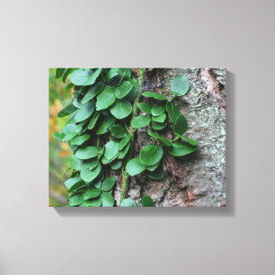 Toile Vigne verte feuillue qui pousse sur le tronc d'arb