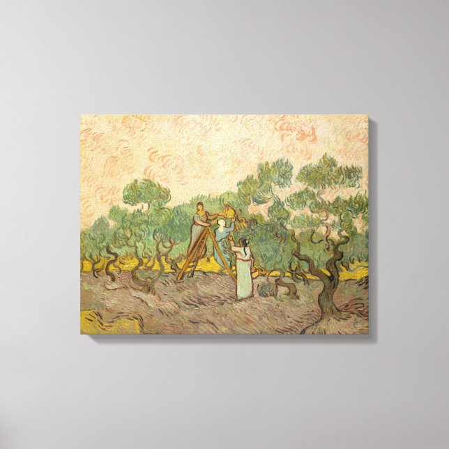 Toile Vincent van Gogh - Femmes cueillette d'olives (Recto)