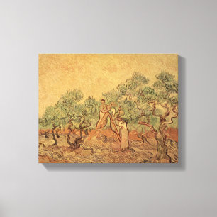 Toile Vincent van Gogh The Olive Grove, 1889