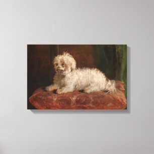 Toile Vintage Chico Thomas Musgrave Joie